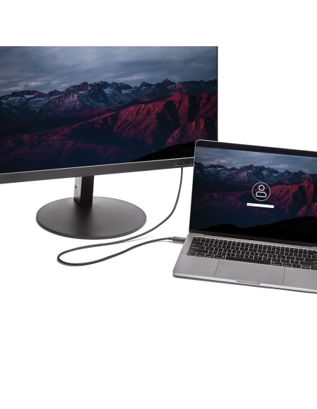 Cable de 2m USB-C a DVI - 1920 x 1200 - Negro