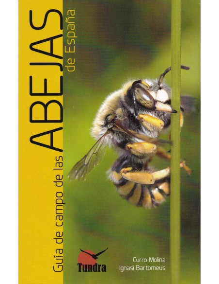 GUIA DE CAMPO DE LAS ABEJAS DE ESPANA