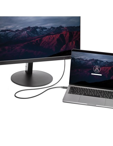 Cable de 2m USB C a VGA - Cable Adaptador Activo de Vídeo de 1920x1200/1080p USB Tipo C a VGA - Compatible con Thunderbolt 3 - 