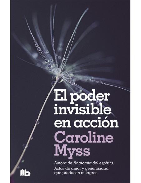 EL PODER INVISIBLE EN ACCION