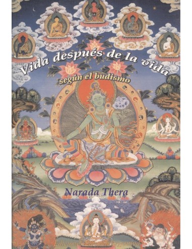 VIDA DESPUES DE LA VIDA SEGUN EL BUDISMO