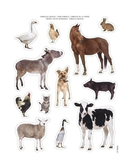 GOMETS APLI (16619) Bl.2h AN.GRANJA REM - Pack de 5 unidades