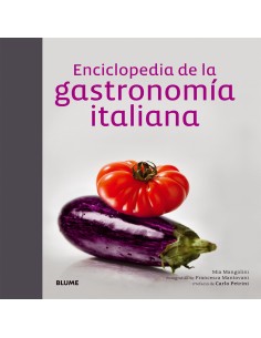 ENCICLOPEDIA DE LA GASTRONOMIA ITALIANA