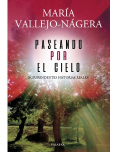 PASEANDO POR EL CIELO