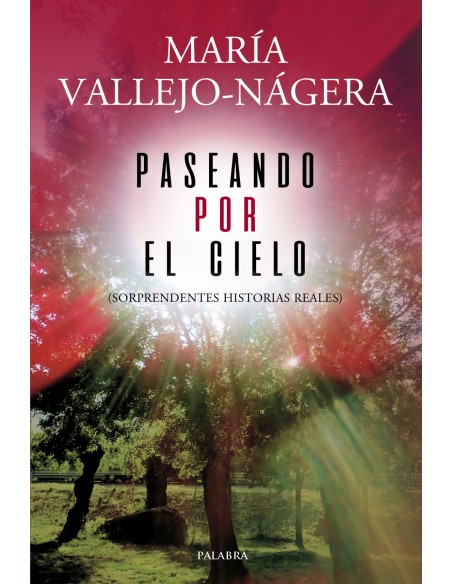 PASEANDO POR EL CIELO