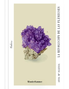 LA REVOLUCION DE LAS FLANEUSES