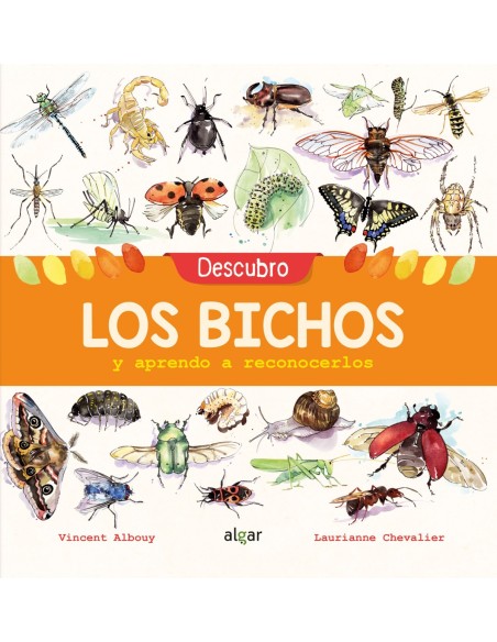 DESCUBRO LOS BICHOS Y APRENDO A RECONOCERLOS
