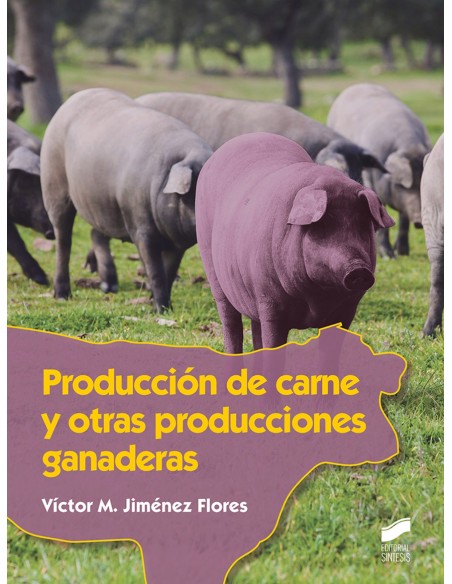 PRODUCCION DE CARNE Y OTRAS PRODUCCIONES GANADERAS 2019