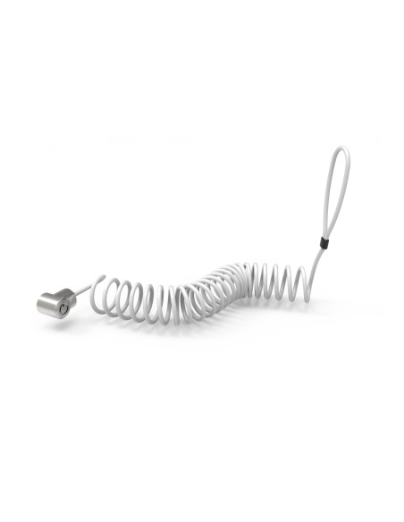 CL15CUTL cable antirrobo Plata