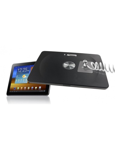 CL15CUTL cable antirrobo Plata