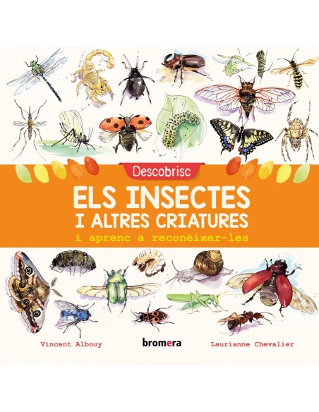 DESCOBRISC ELS INSECTES I ALTRES CRIATURES I APRENC A RECONEIXER LES