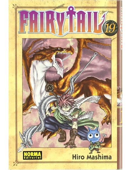 FAIRY TAIL 19