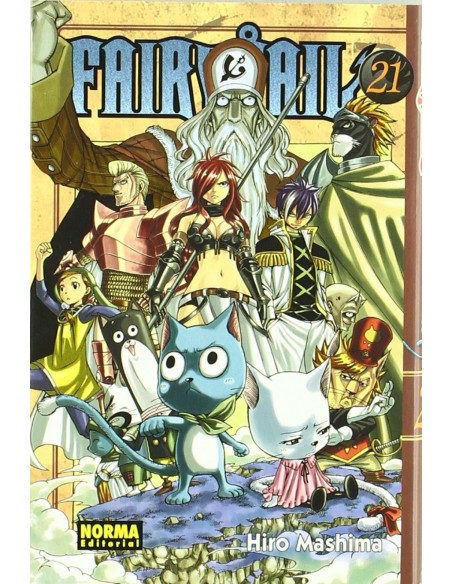 FAIRY TAIL 21