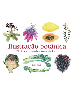 Ilustracao botanica tecnicas para desenhar flores e plantas