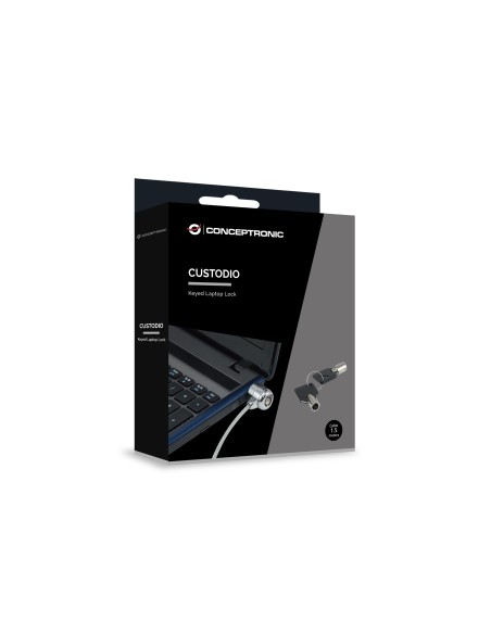CNBSLOCK15 cable antirrobo Plata 1,5 m