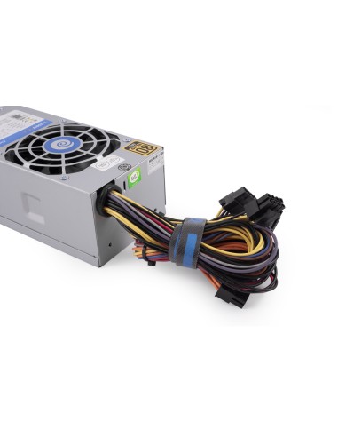 GT-250G unidad de fuente de alimentación 250 W 20+4 pin ATX TFX Plata