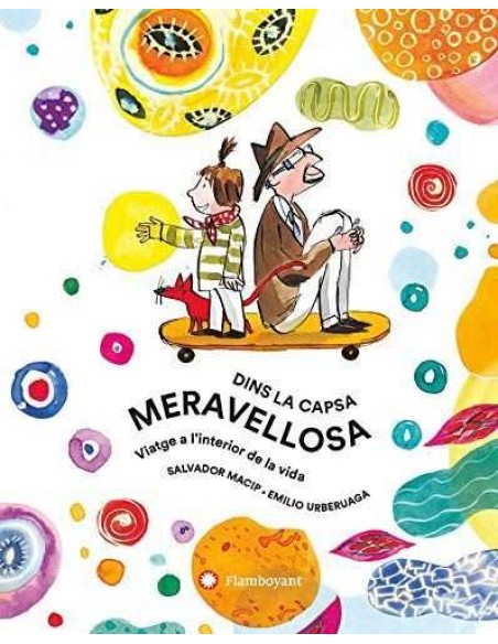 DINS LA CAPSA MERVELLOSA