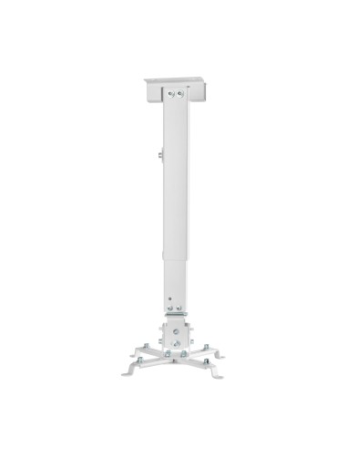 CWP01TSE-049 montaje para projector Pared/techo Blanco