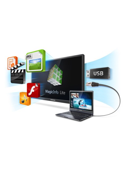 MagicInfo Lite S/W Server License 1 licencia(s)