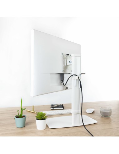 DB1127TN-W soporte para monitor 68,6 cm (27") Independiente Blanco