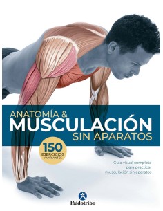 ANTOMIA Y MUSCULACION SIN APARATOS