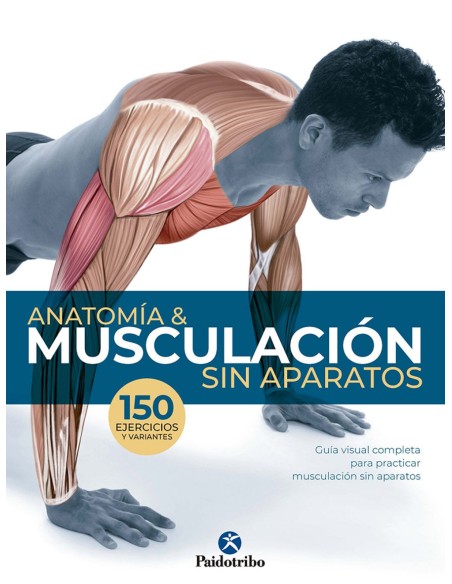 ANTOMIA Y MUSCULACION SIN APARATOS