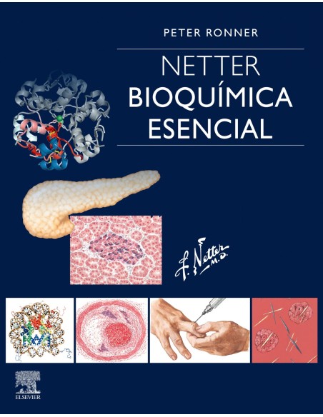 NETTER BIOQUIMICA ESENCIAL