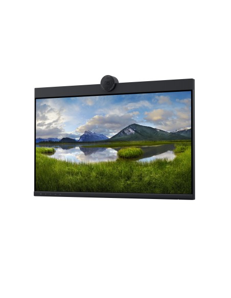 P2424HEB 60,5 cm (23.8") LCD 1920 x 1080 Pixeles Full HD