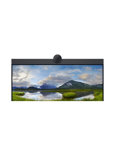 P2424HEB 60,5 cm (23.8") LCD 1920 x 1080 Pixeles Full HD