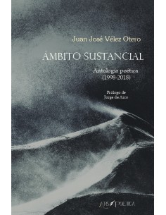 AMBITO SUSTANCIAL