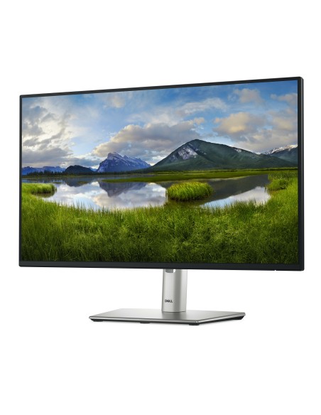 P Series P2425H pantalla para PC 61 cm (24") 1920 x 1080 Pixeles Full HD LCD Negro