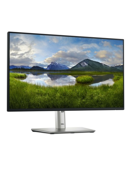 P Series P2425H pantalla para PC 61 cm (24") 1920 x 1080 Pixeles Full HD LCD Negro