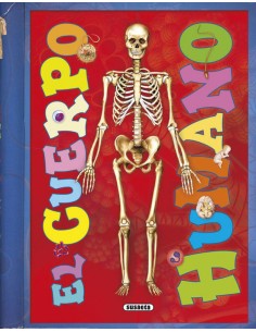 EL CUERPO HUMANO
