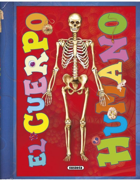 EL CUERPO HUMANO