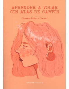 APRENDER A VOLAR CON ALAS DE CARTON