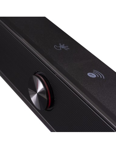 R200B Negro 2.0 canales 6 W
