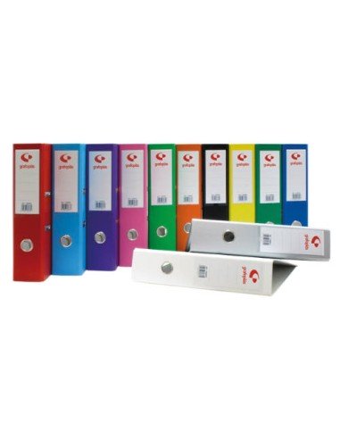 GRP ARCHIV.GRAFCOLOR 80MM A4 GR 17269571 Pack 12 Unid
