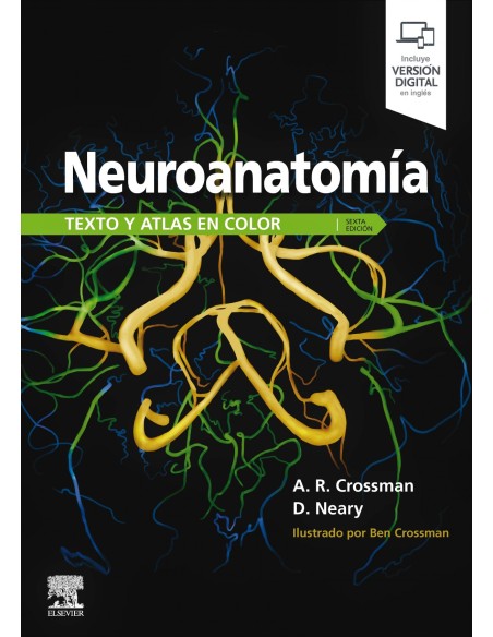 NEUROANATOMIA
