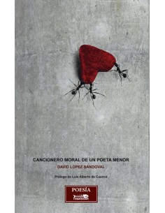 Cancionero moral de un poeta menor