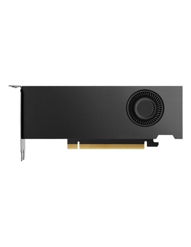 RTX 2000 Ada 16 GB GDDR6