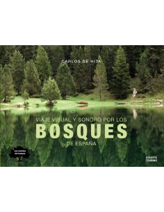 VIAJE VISUAL Y SONORO POR LOS BOSQUES DE ESPANA