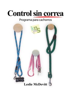 CONTROL SIN CORREA