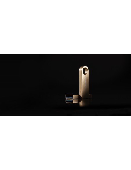DataTraveler SE9 G3 unidad flash USB 128 GB USB tipo A 3.2 Gen 1 (3.1 Gen 1) Oro