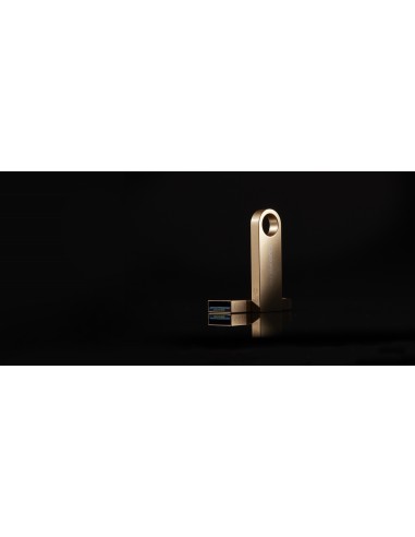 DataTraveler SE9 G3 unidad flash USB 256 GB USB tipo A 3.2 Gen 1 (3.1 Gen 1) Oro