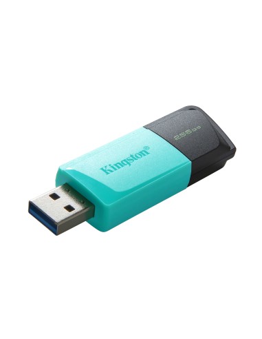 DataTraveler Exodia M unidad flash USB 256 GB USB tipo A 3.2 Gen 1 (3.1 Gen 1) Negro, Turquesa