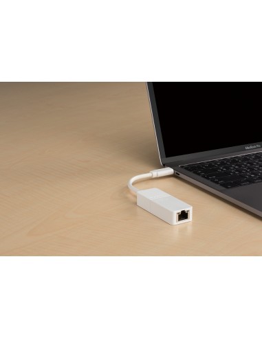 DUB-E130 adaptador y tarjeta de red Ethernet 1000 Mbit/s
