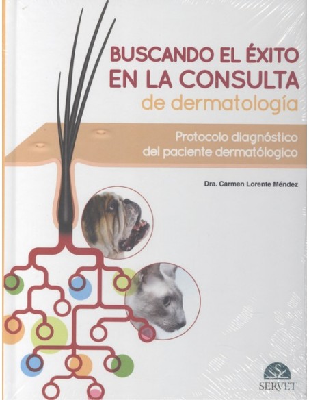 BUSCANDO EL EXITO EN LA CONSULTA DE DERMATOLOGIA