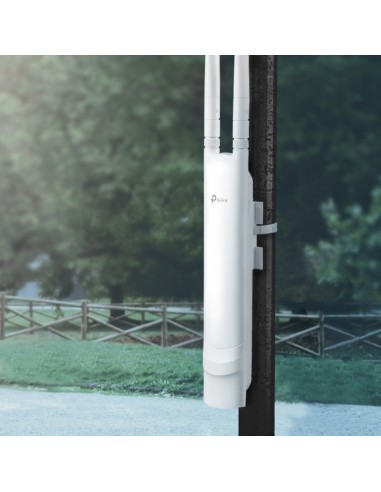 EAP113-Outdoor 300 Mbit/s Blanco Energía sobre Ethernet (PoE)