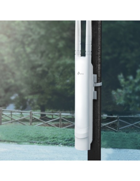 EAP113-Outdoor 300 Mbit/s Blanco Energía sobre Ethernet (PoE)