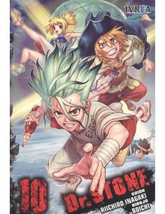DRSTONE 10